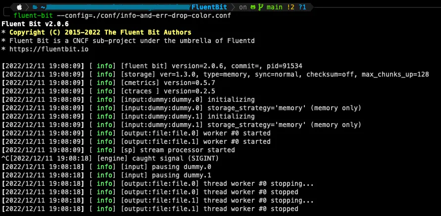 Fluent Bit output showing nothing on stdout