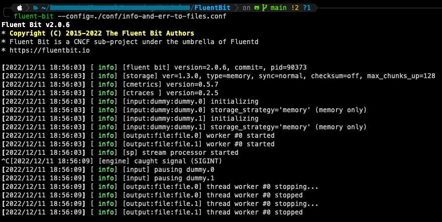 Fluent Bit output showing no logs on stdout when using the Files plugin