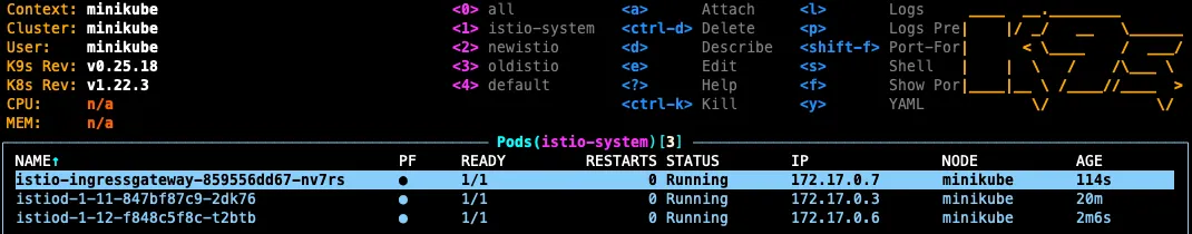 Instalando Istio, Prometheus, Kiali, Jaeger e Grafana com Istio addons ...